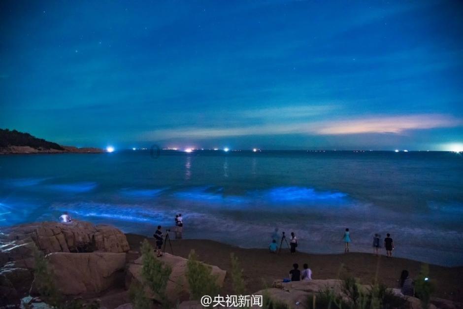 phigros2.5.1愚人节版本下载游戏画面